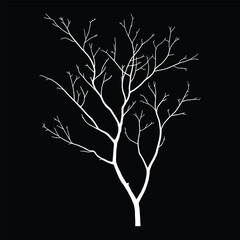 Hand-drawn Coral silhouette illustration white background