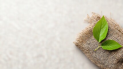 Two vibrant green leaves rest on a textured burlap fabric, set against a neutral, softly lit background. The composition is minimalist and natural.
