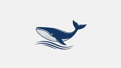 vector illustration of a whale