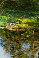 Vertical Close-up of Algae, Leaves, and Tree Reflection on the Surface of an Emerald Stream, China.