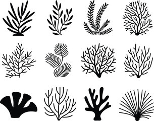 Hand-drawn Coral silhouette illustration white background