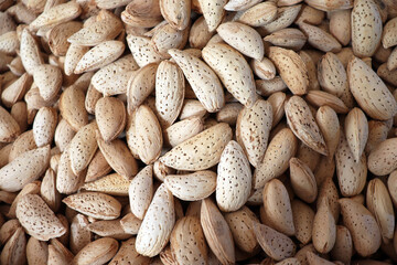 Whole almonds in shells close up texture background