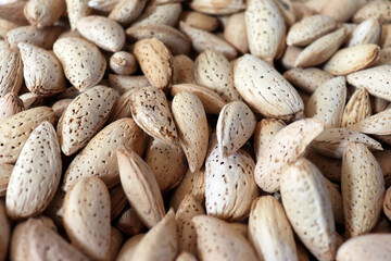 Whole almonds in shells close up texture background