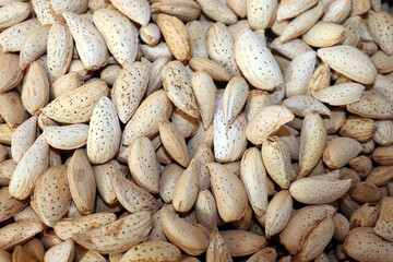 Whole almonds in shells close up texture background
