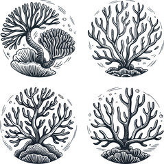 Hand-drawn Coral silhouette illustration white background