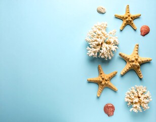 Seashells, starfish, and coral on light blue