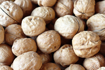 Walnuts close up showing densely packed unshelled nuts with textured natural brown shells