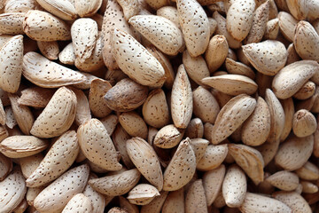 Whole almonds in shells close up texture background