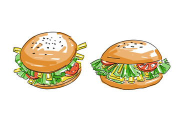 Hamburgers colored sketch. Illustration with sandwiches with salad, potatoes and cheese. Vegetarian Shawarma, barbecue. Design elements for fast food, BBQ menu. Meat, butcher shop. Hand drawn vector