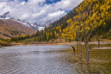 Siguniang Mountains (Four Girls Mountain) is a famous tourist attraction in Sichuan, China, It features mountains, pine forest streams and wild animals and has been certified as a 5A level 