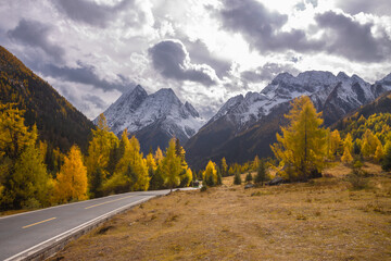 Siguniang Mountains (Four Girls Mountain) is a famous tourist attraction in Sichuan, China, It features mountains, pine forest streams and wild animals and has been certified as a 5A level 