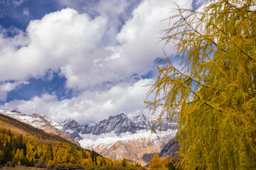 Siguniang Mountains (Four Girls Mountain) is a famous tourist attraction in Sichuan, China, It features mountains, pine forest streams and wild animals and has been certified as a 5A level 