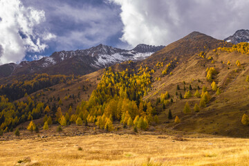 Siguniang Mountains (Four Girls Mountain) is a famous tourist attraction in Sichuan, China, It features mountains, pine forest streams and wild animals and has been certified as a 5A level 