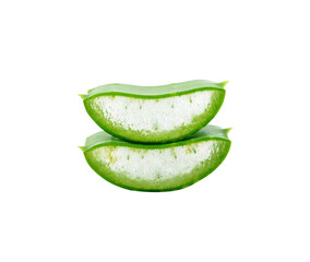 aloe vera fresh leaf transparent png