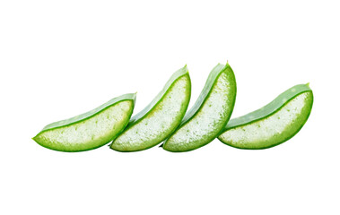 aloe vera fresh leaf transparent png