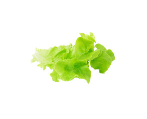 fresh green lettuce leaves transparent png