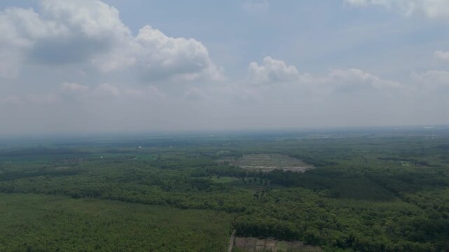 Dynamic aerial footage over East Java, Indonesia, capturing vast Jati (Teak) forest plantations adjacent to traditional cultivated fields and a rustic farmer's hut.