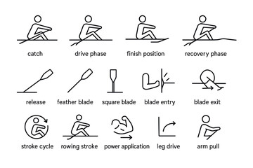 Rowing technique diagram: phases and key elements in line art