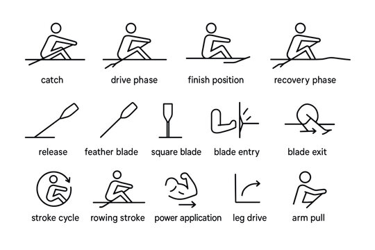 Rowing technique diagram: phases and key elements in line art
