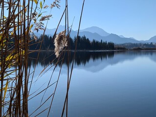 Idyllische Seenlandschaft in Bayern: Schilf am Ufer mit Bergen und blauer Spiegelung im Wasser.