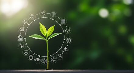 A young plant growing, surrounded by a circular diagram of environmental and sustainability icons, against a blurred green background, symbolizing growth and eco-consciousness.