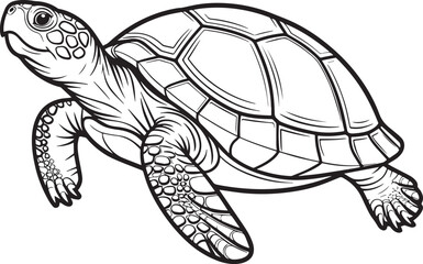 Cute sea turtle vector illustration pattern design
