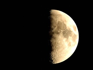月齢8.6の月を捉えた一枚です。上弦に向かう半月は、光と影の境界が最も美しく、無数のクレーターや山脈が立体的に浮かび上がっています。   © WanwanMal77