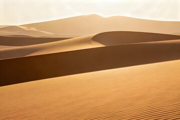 Golden Sand Dunes Under Warm Sunlight