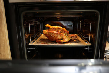 Festive christmas roast whole duck on aluminized steel baking sheet inside open oven at home kitchen. Ready golden turkey or goose on tray. Classic American Thanksgiving food preparation.