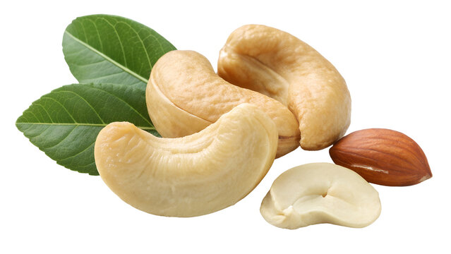 cashew nuts on white background