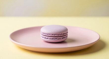 Single lavender macaroon on pink plate against a soft yellow background studio shot with copy space