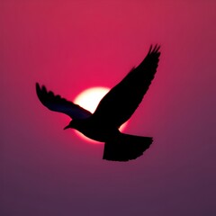 Fototapeta premium silhouette of a flying bird