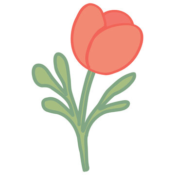 bouquet of red tulips illustration