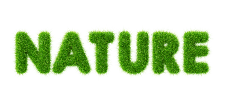 Green Nature: An eye-level shot captures a vibrant display of the word NATURE crafted from lush green grass, creating a harmonious blend of text and the outdoors. 