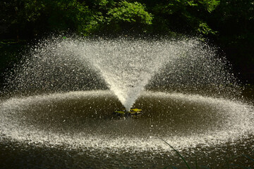 fontanna ogorodowa tworząca na stawie kolisty krąg świetlny, oświetlona słńcem tryskająca fontanna, fontanna w słońcu, fountain in the pond, garden fountain creating a circle of light on the pond  © kateej