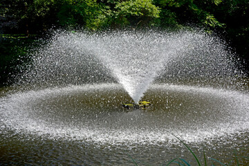 fontanna ogorodowa tworząca na stawie kolisty krąg świetlny, oświetlona słńcem tryskająca fontanna, fontanna w słońcu, fountain in the pond, garden fountain creating a circle of light on the pond  © kateej