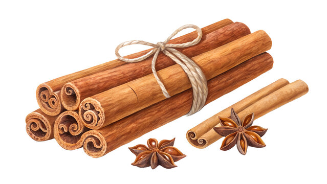 cinnamon sticks and anise stars - Powered by Adobe
