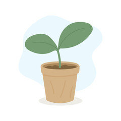 Soft indoor scene features young seedling with two fresh leaves rising from warm pot, seedling adding calming organic mood, gentle growth vibe, perfect for modern nature-inspired decor