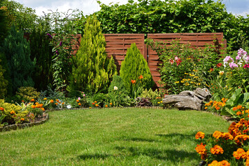 zielony trawnik w ogrodzie otoczony krzewami ozodbnymi i kolorowymi kwiatami, beautiful garden with shrubs, lily, marigold and conifers, designer garden 