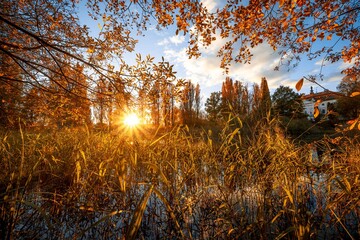 Wetlands near the village of jablonne v Podjestedi