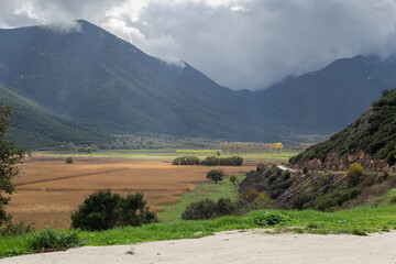 View of an overgrown with reeds lake Stymphalia (Greece, Peloponnese) on a cloudy, foggy day
