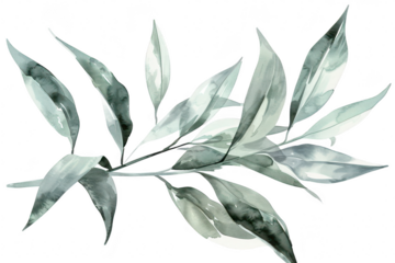 A serene watercolor illustration depicting delicate green leaves gracefully arranged. their natural beauty against a soft white background. ideal for botanical-themed designs or decor