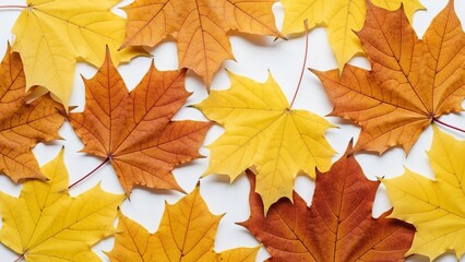 Obraz premium Vibrant autumn maple leaves creating a natural warm pattern during the fall season background