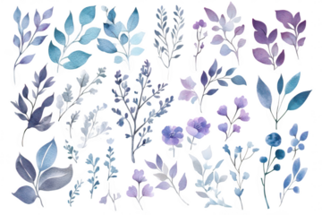 A beautiful collection of watercolor floral illustrations featuring various leaves and blossoms in shades of blue and purple. perfect for botanical design projects or nature-themed art