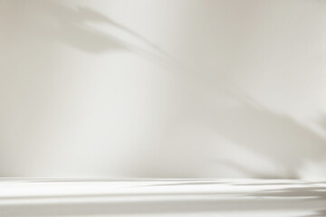 Abstract white color studio background for product presentation. Empty room with shadows of window...