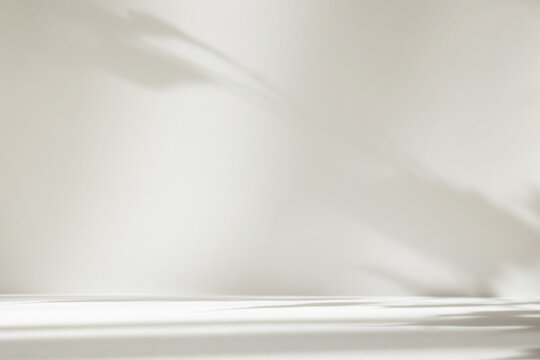 Abstract white color studio background for product presentation. Empty room with shadows of window and flowers and plant leaves . 3d grey room with copy space. Summer concept. Blurred backdrop.