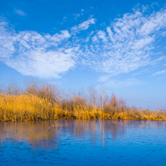 small calm lake among dry autumn prairie under a blue cloudy sky, seasonal outdoor landscape