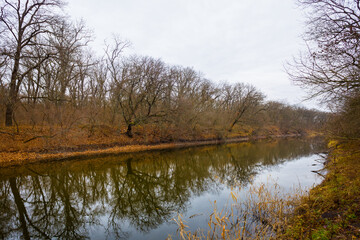 calm river with forest on coast,  autumn outdoor landscape