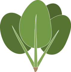 Green spinach bunch with simple leaf shapes