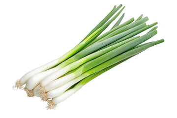 Fresh green onions with green tops and crisp white bulbs arranged neatly on a white background. ideal for culinary use in recipes or food styling